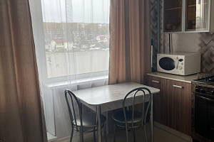 1-комнатная квартира Флотская 6 в Брянске 4