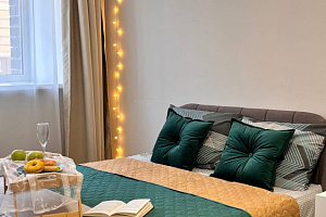 1-комнатная квартира Олега Волкова 6