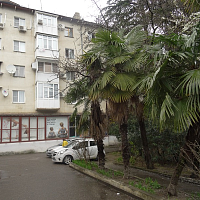 1-комнатная квартира Лазарева 80