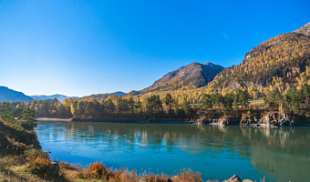 &quot;Усадьба Любо-Дорого&quot; гостевой дом в Чемале - фото 5