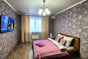 1-комнатная квартира Чехова 1к1