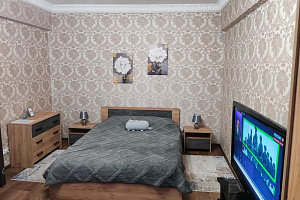 Квартиры Мурманска с размещением с животными, 1-комнатная Привокзальная 4 с размещением с животными