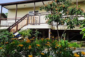 Гостевые дома Нового Афона недорого, "Мандариновый рай" недорого - фото