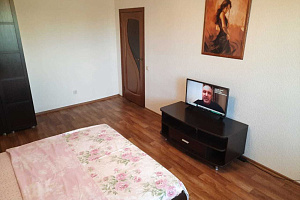 1-комнатная квартира Мордасовой 9 в Воронеже 3