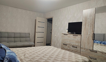 1-комнатная квартира Семенова 16 в Озерске - фото 4