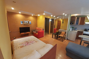 1-комнатная квартира Капитана Буркова 43