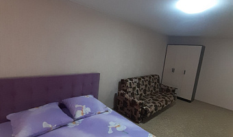 1-комнатная квартира Плякина 7 в Саратове - фото 4