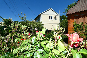 Гостевые дома Орджоникидзе с бассейном, "Зелёная черепаха" с бассейном - фото