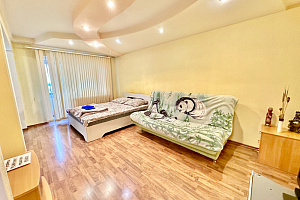 1-комнатная квартира Пищевиков 23