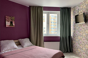 1-комнатная квартира Бородинский 17