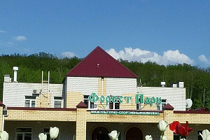 Гостиницы Задонска с бассейном, "Forest park" с бассейном - фото