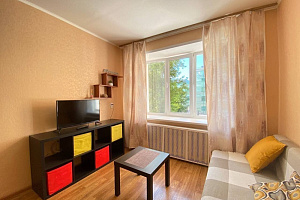 1-комнатная квартира Краснова 28