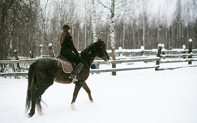 Конные прогулки в Санкт-Петербурге зимой — лучшие маршруты