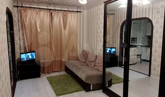 1-комнатная квартира Долгорукова 100 в Пензе - фото 3