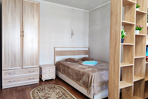 Квартиры Хабаровска с размещением с животными, 1-комнатная Волочаевская 21 с размещением с животными - раннее бронирование