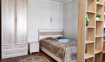 1-комнатная квартира Волочаевская 21 в Хабаровске - фото 4