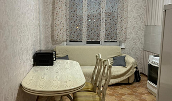 1-комнатная квартира Семьи Шамшиных 20 в Новосибирске - фото 3