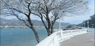 Февраль в Геленджике — тихий курортный отдых у моря