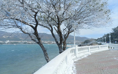 Февраль в Геленджике — тихий курортный отдых у моря