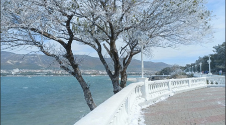 Февраль в Геленджике — тихий курортный отдых у моря