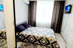 1-комнатная квартира Ростовская 67