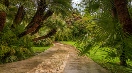 5 сезонов Сочи: какие они?