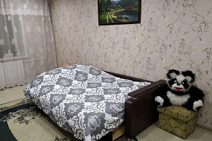 Квартира в , "У Михалыча" 1-комнатная - фото