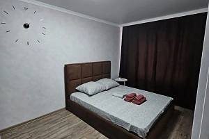 1-комнатная квартира Ишкова 105 в Михайловске фото 5