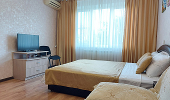 1-комнатная квартира Платановый 12 в Краснодаре - фото 2