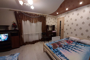 1-комнатная квартира Чкалова 64/а в Ярославле фото 2