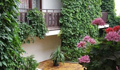 Фото объекта ««Villa Kashtan» гостевой дом в Кабардинке», 2