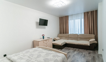 1-комнатная квартира Александра Матросова 36 в Красноярске - фото 5