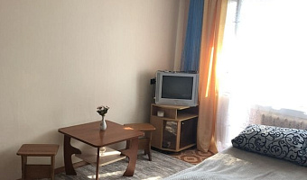 1-комнатная квартира Филиппёнковская 4 в Вичуге - фото 2