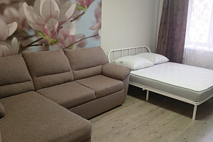 1-комнатная квартира Кочетова 30к2