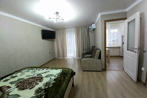 Квартиры Абхазии с кухней, 1-комнатная Абазгаа 63/3 кв 49 с кухней - раннее бронирование