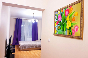 1-комнатная квартира Сибгата Хакима 44 в Казани 7