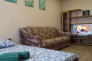 1-комнатная квартира Лесопарковая 93/1