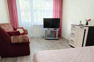 &quot;Улучшенной планировки&quot; 1-комнатная квартира в Байкальске фото 5