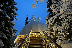 "Forest Glamp" глэмпинг - раннее бронирование