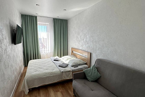 1-комнатная квартира Пискунова 148/7