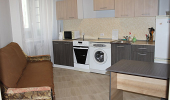 1-комнатная квартира Павловский 221 в Барнауле - фото 4