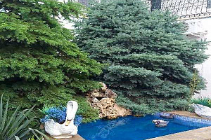 Гостевые дома Николаевки с бассейном, "Николас" с бассейном - цены