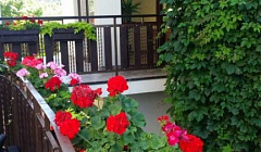 Фото объекта ««Villa Kashtan» гостевой дом в Кабардинке», 3