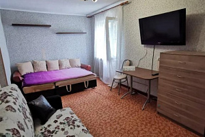Квартиры Чехова 1-комнатные, "Home Hotel" 1-комнатная 1-комнатная - фото
