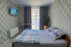 1-комнатная квартира Ишкова 99 в Михайловске фото 17