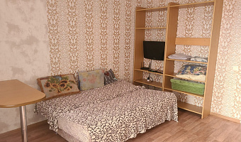 1-комнатная квартира Холмогорская 4В в Перми - фото 4