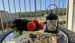Фото объекта ««Holiday House Мирная 11/2» мини-гостиница в Сукко», 2