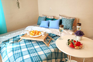 1-комнатная квартира Кошурникова 29/5