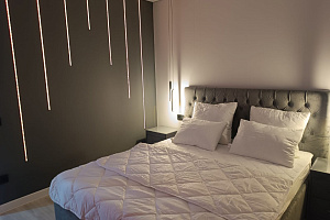 1-комнатная квартира Большая Санкт-Петербургская 106к5