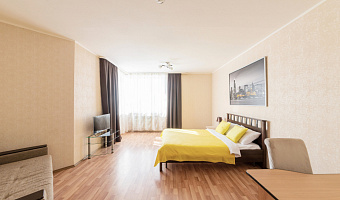 1-комнатная квартира Блюхера 41 в Екатеринбурге - фото 2